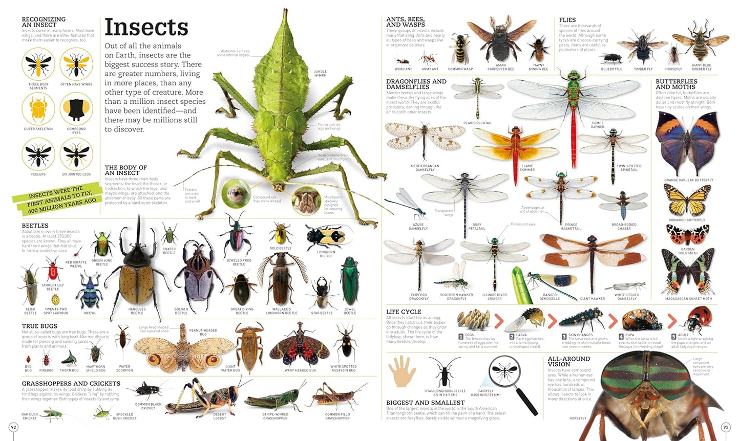 Picturepedia: An Encyclopedia on Every Page🔥