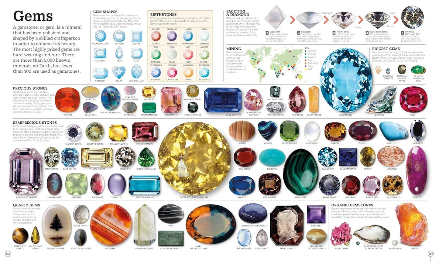Picturepedia: An Encyclopedia on Every Page🔥