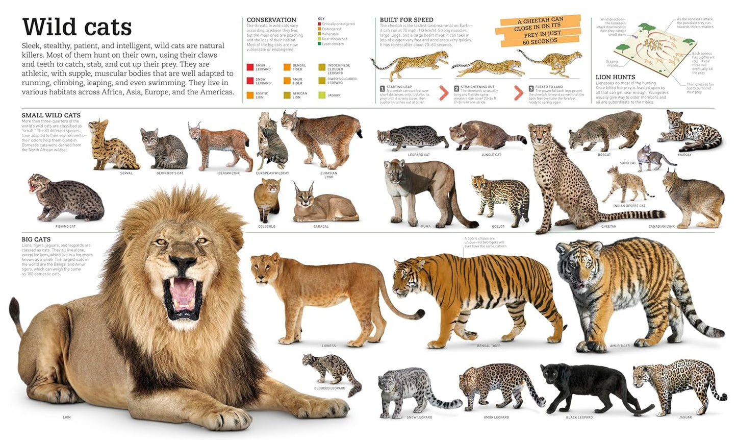 Picturepedia: An Encyclopedia on Every Page🔥