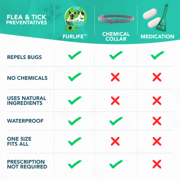 🐱 Anti-Flea & Tick Pendant for Cats – Natural Chemical-Free Protection, Waterproof, Fits All Collars (=^･^=)